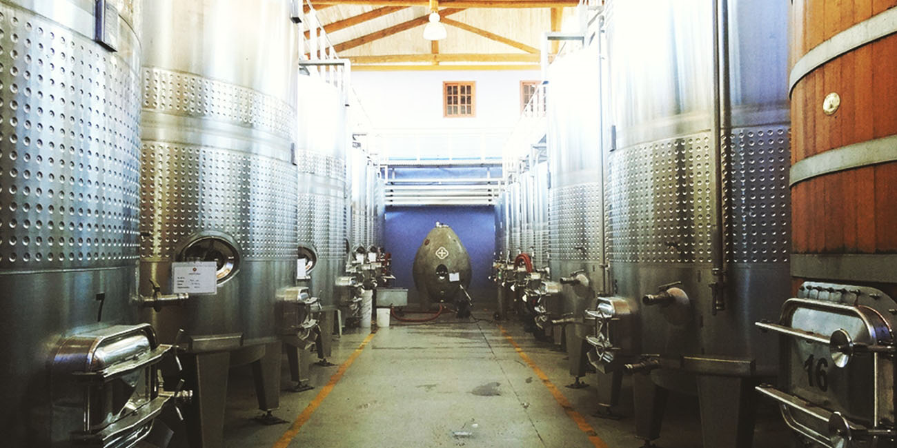 Santa Cruz Winery Bodega
