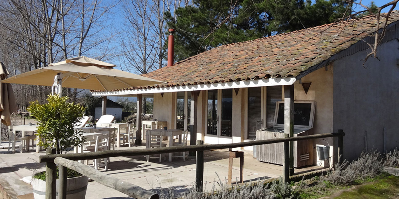 Cafe Viu Manent Winery Terrace